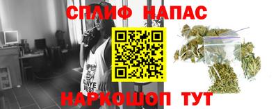 MDMA Гатчина