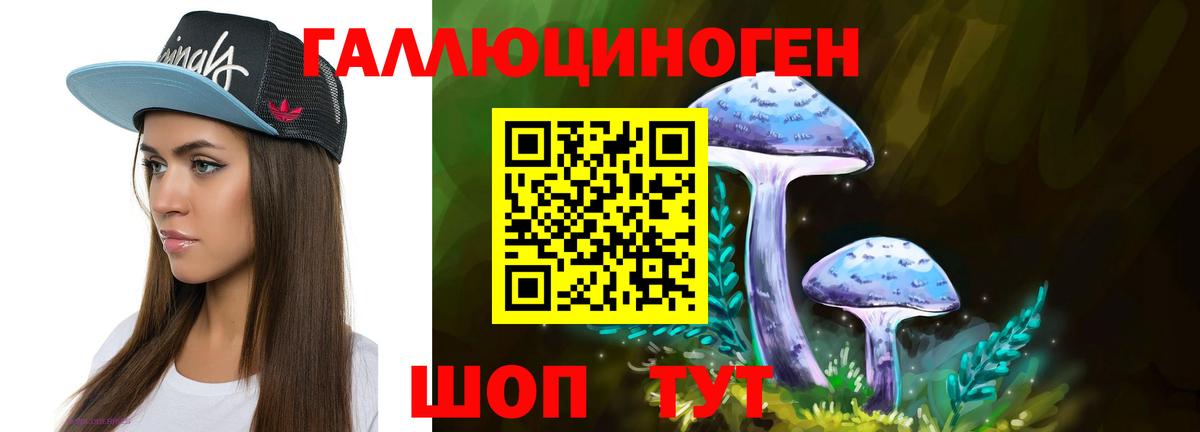 купить  цена  Вход с VPN  Чапаевск  Галлюциногенные грибы MAGIC MUSHROOMS 