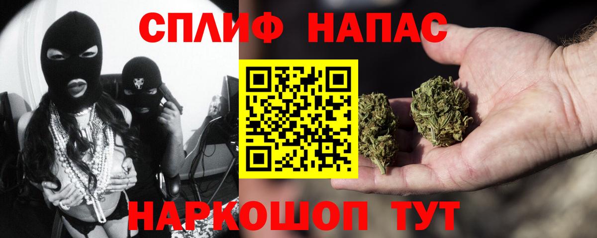 Бошки Шишки план Чапаевск